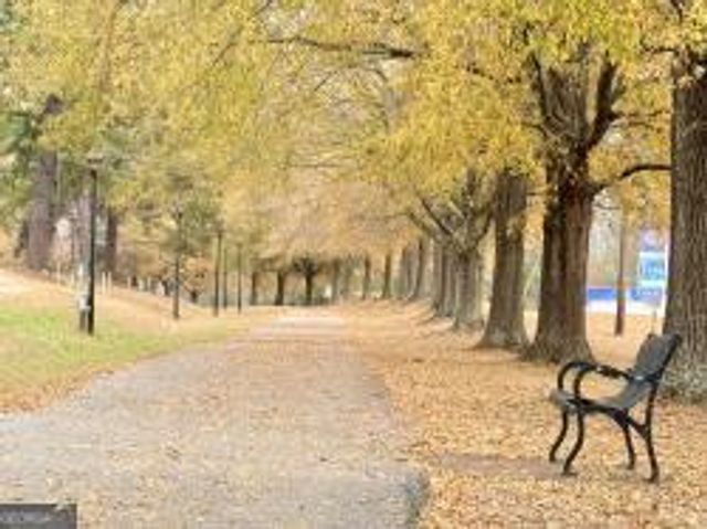 LOT 10 Rolling Meadows Way, Waverly Hall, GA 31831