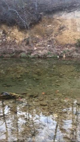 116 Madison CR 410, Fredericktown, MO 63645