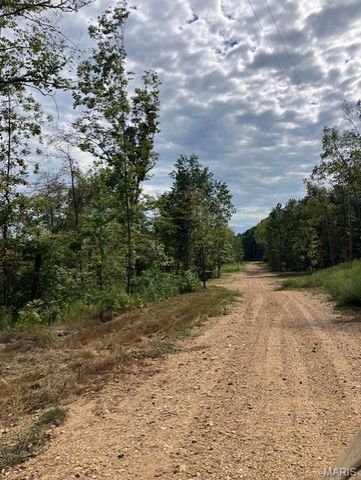 116 Madison CR 410, Fredericktown, MO 63645