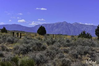 1167 Out-R-Way, Gardnerville, NV 89410