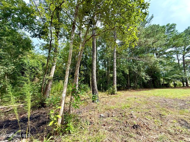14043 Nc 210, Roseboro, NC 28382