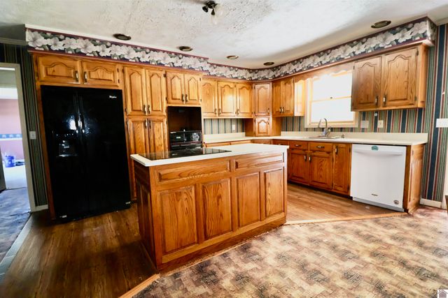 1982 Palestine Church Rd, Dexter, KY 42036