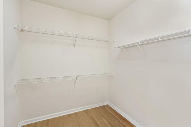 6390 Whitestone Place, Johns Creek, GA 30097