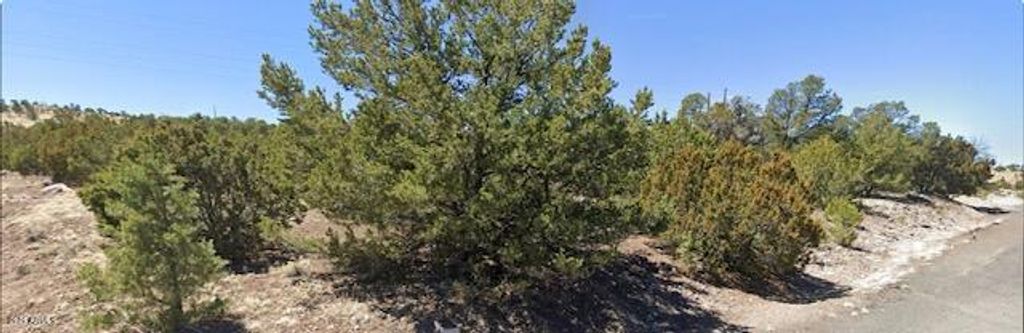 Image 1 of property listing at - W Snowline Drive -, Eagar, AZ 85925