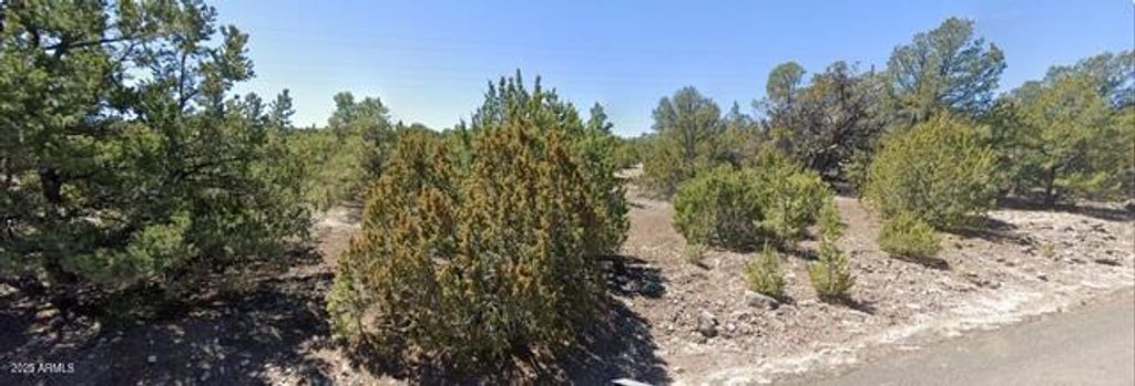 Image 2 of property listing at - W Snowline Drive -, Eagar, AZ 85925