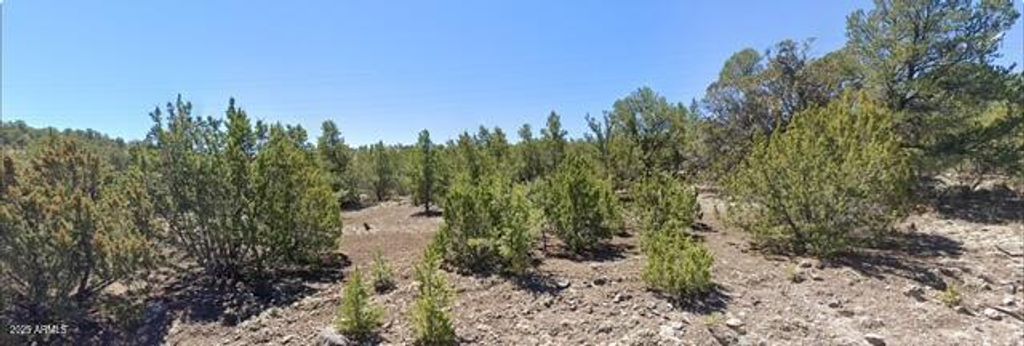 Image 3 of property listing at - W Snowline Drive -, Eagar, AZ 85925