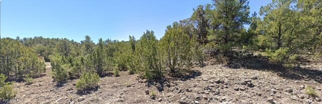 Image 4 of property listing at - W Snowline Drive -, Eagar, AZ 85925