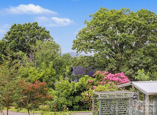 25 Wentworth Avenue, Asheville, NC 28803