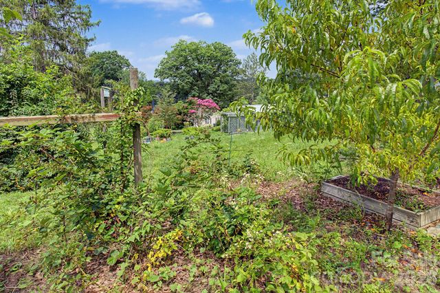 25 Wentworth Avenue, Asheville, NC 28803