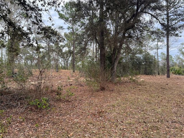 20140 NW 27TH STREET, Morriston, FL 32668