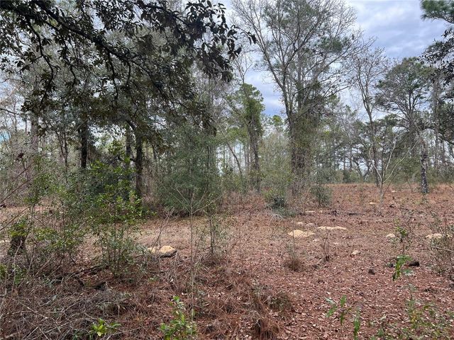 20140 NW 27TH STREET, Morriston, FL 32668