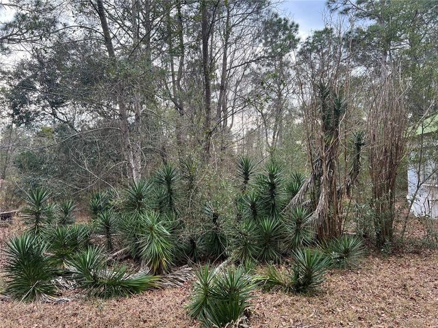 20140 NW 27TH STREET, Morriston, FL 32668