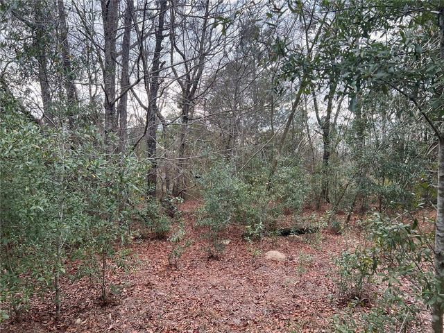 20140 NW 27TH STREET, Morriston, FL 32668