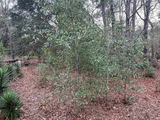 20140 NW 27TH STREET, Morriston, FL 32668