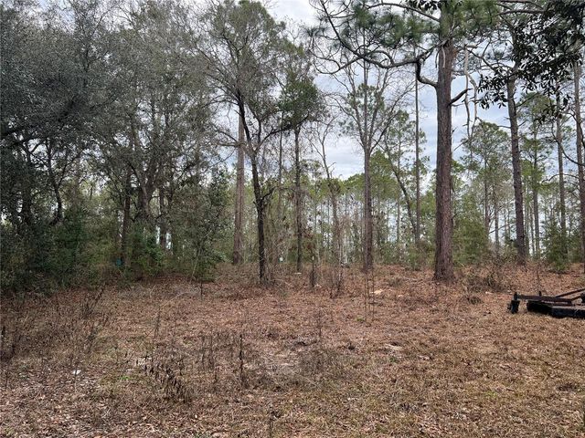 20140 NW 27TH STREET, Morriston, FL 32668