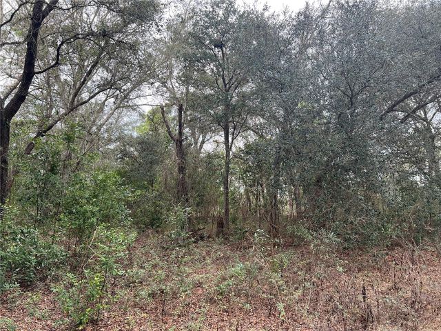 20140 NW 27TH STREET, Morriston, FL 32668