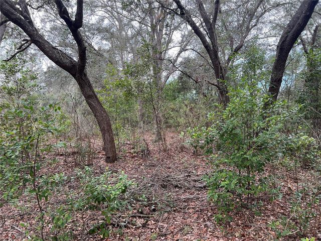 20140 NW 27TH STREET, Morriston, FL 32668