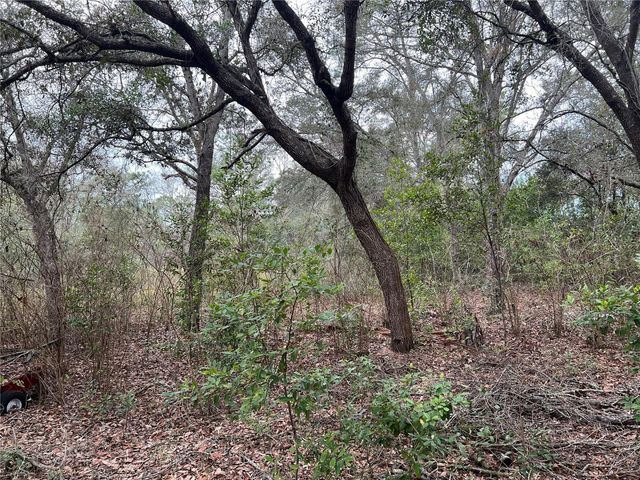 20140 NW 27TH STREET, Morriston, FL 32668