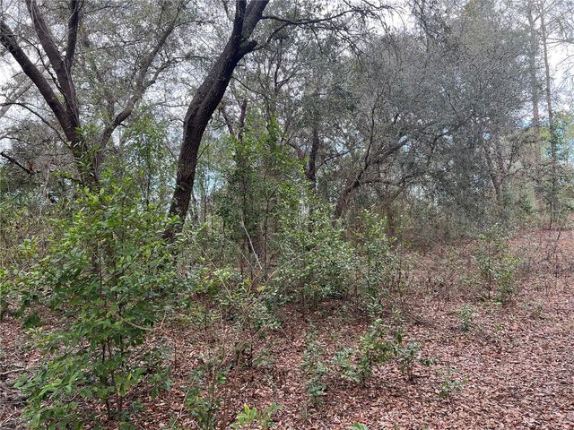 20140 NW 27TH STREET, Morriston, FL 32668