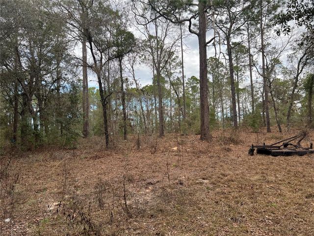 20140 NW 27TH STREET, Morriston, FL 32668