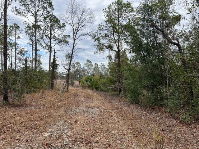 20140 NW 27TH STREET, Morriston, FL 32668