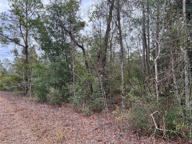 20140 NW 27TH STREET, Morriston, FL 32668