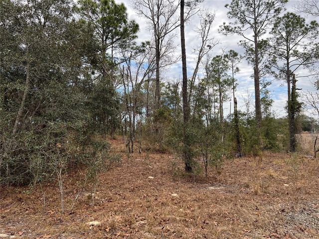 20140 NW 27TH STREET, Morriston, FL 32668