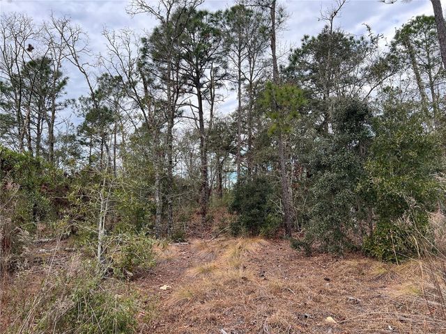 20140 NW 27TH STREET, Morriston, FL 32668