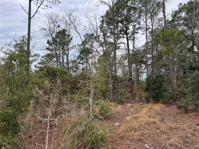 20140 NW 27TH STREET, Morriston, FL 32668