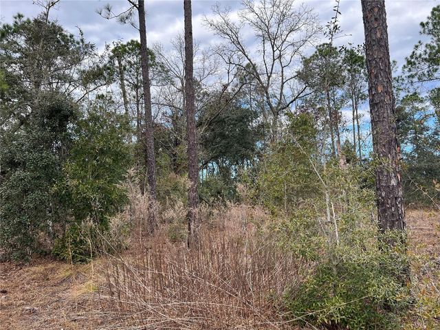 20140 NW 27TH STREET, Morriston, FL 32668