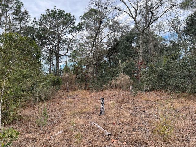 20140 NW 27TH STREET, Morriston, FL 32668