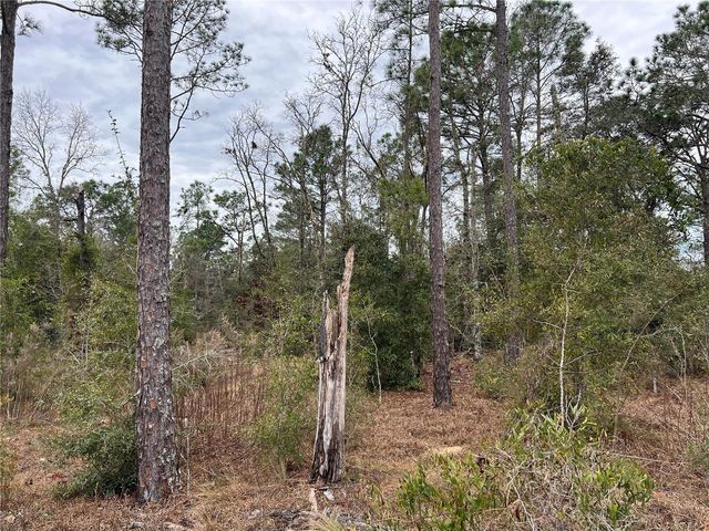 20140 NW 27TH STREET, Morriston, FL 32668