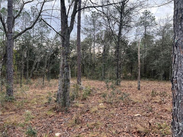 20140 NW 27TH STREET, Morriston, FL 32668