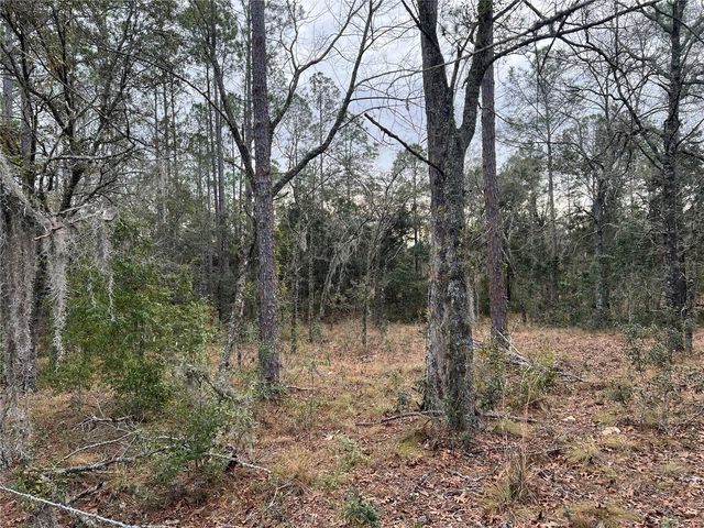 20140 NW 27TH STREET, Morriston, FL 32668