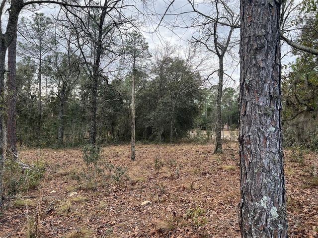 20140 NW 27TH STREET, Morriston, FL 32668