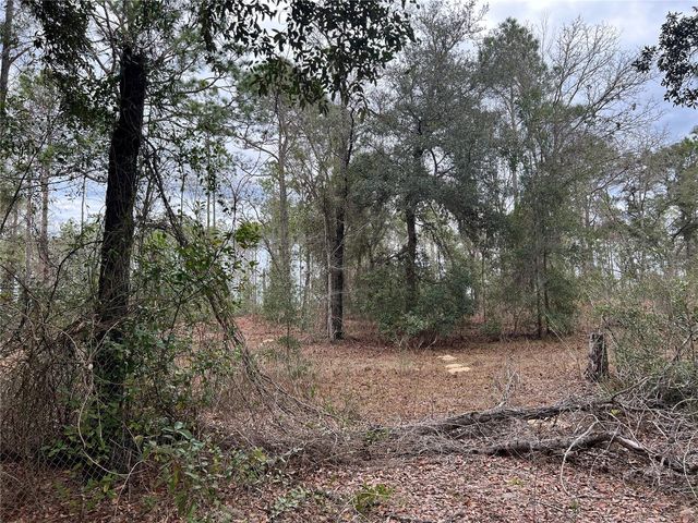 20140 NW 27TH STREET, Morriston, FL 32668