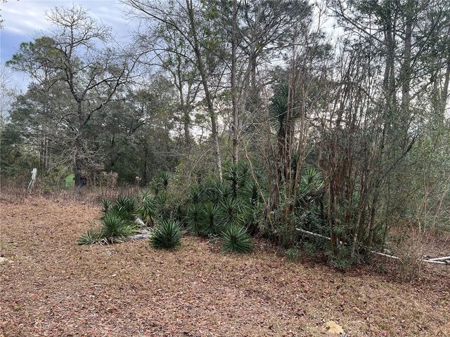 20140 NW 27TH STREET, Morriston, FL 32668