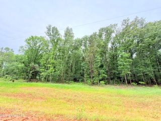 Stout Meadows Lane, Madison, MS 39110