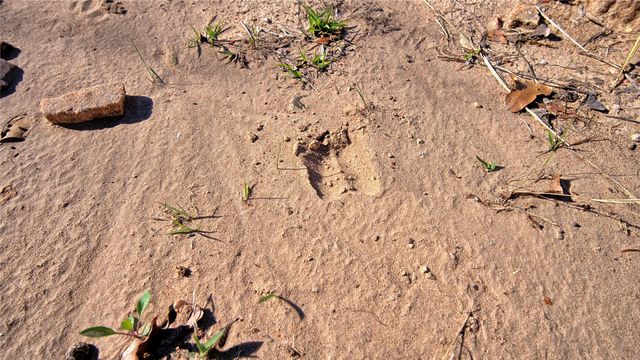 1486 Hildreth Pool Road, Bowie, TX 76230