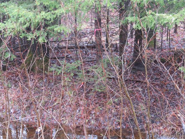 TBD Friday - Q.1 Road, Rapid River, MI 49878