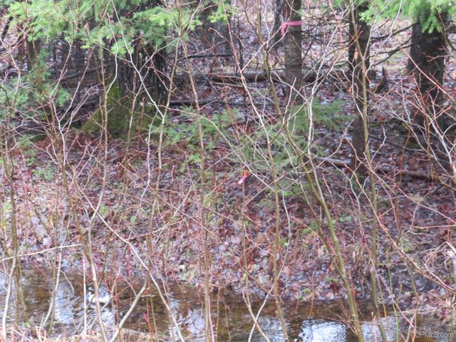 TBD Friday - Q.1 Road, Rapid River, MI 49878