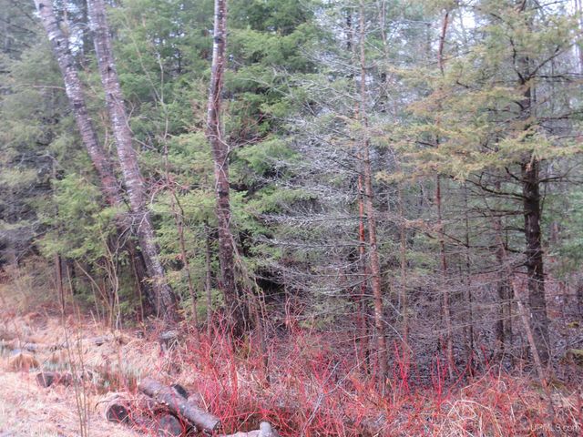 TBD Friday - Q.1 Road, Rapid River, MI 49878