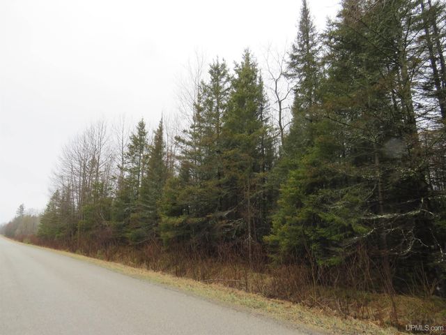 TBD Friday - Q.1 Road, Rapid River, MI 49878