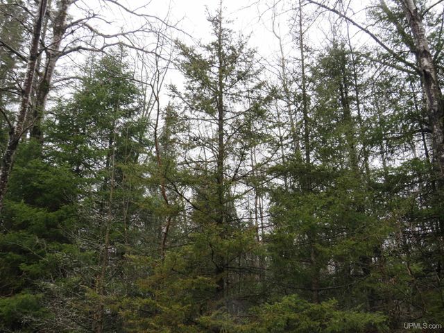 TBD Friday - Q.1 Road, Rapid River, MI 49878