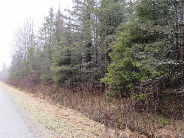 TBD Friday - Q.1 Road, Rapid River, MI 49878