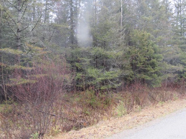 TBD Friday - Q.1 Road, Rapid River, MI 49878