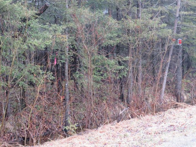 TBD Friday - Q.1 Road, Rapid River, MI 49878