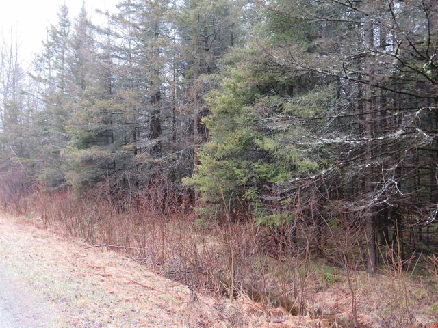 TBD Friday - Q.1 Road, Rapid River, MI 49878