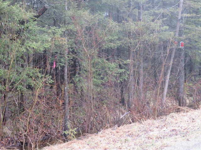 TBD Friday - Q.1 Road, Rapid River, MI 49878