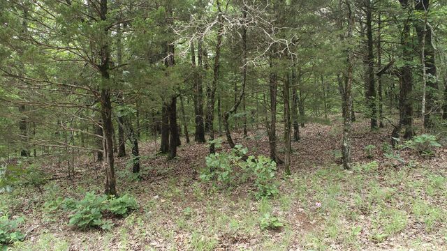 000 County Road 814, Gainesville, MO 65655
